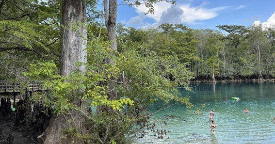 morrison springs fl
